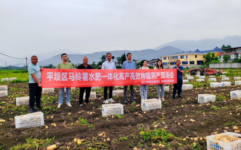 马铃薯水肥一体化高产高效种植技术测产现场会在江油市召开