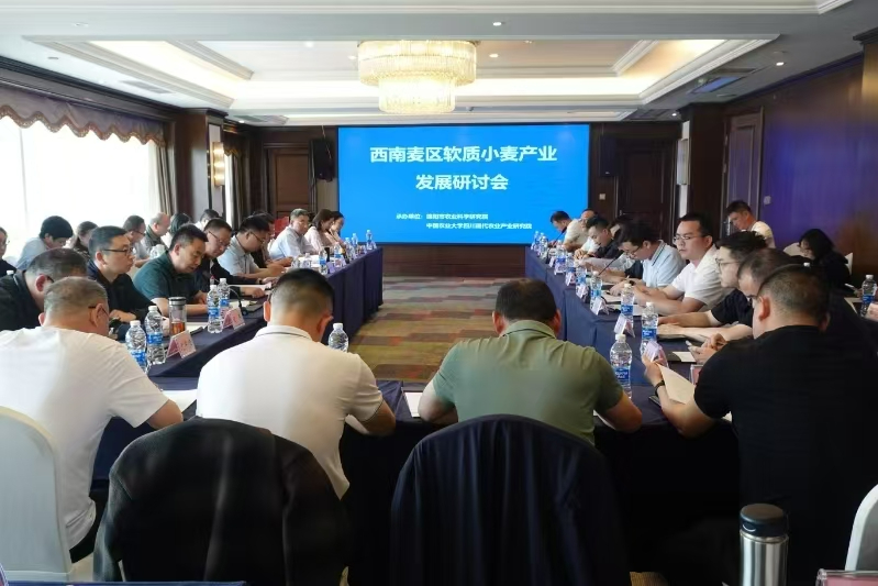重点实验室举办西南麦区软质小麦产业发展研讨会